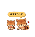 かわいい♡柴犬ちゃん（個別スタンプ：24）