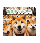 待ち合わせ柴犬【連絡・家族・友達】（個別スタンプ：24）