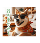 待ち合わせ柴犬【連絡・家族・友達】（個別スタンプ：25）