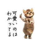 態度がでかい猫【可愛い・シュール】（個別スタンプ：1）