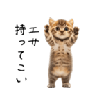 態度がでかい猫【可愛い・シュール】（個別スタンプ：2）