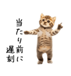 態度がでかい猫【可愛い・シュール】（個別スタンプ：3）