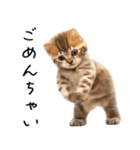 態度がでかい猫【可愛い・シュール】（個別スタンプ：4）