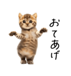 態度がでかい猫【可愛い・シュール】（個別スタンプ：6）