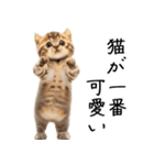 態度がでかい猫【可愛い・シュール】（個別スタンプ：7）