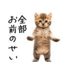 態度がでかい猫【可愛い・シュール】（個別スタンプ：8）