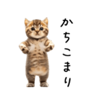 態度がでかい猫【可愛い・シュール】（個別スタンプ：10）