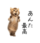 態度がでかい猫【可愛い・シュール】（個別スタンプ：11）