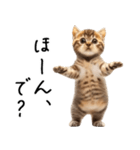 態度がでかい猫【可愛い・シュール】（個別スタンプ：12）