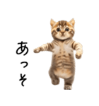 態度がでかい猫【可愛い・シュール】（個別スタンプ：15）