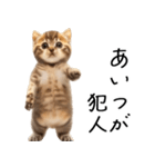 態度がでかい猫【可愛い・シュール】（個別スタンプ：16）