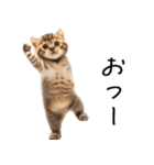 態度がでかい猫【可愛い・シュール】（個別スタンプ：17）