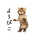 態度がでかい猫【可愛い・シュール】（個別スタンプ：22）