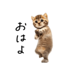 態度がでかい猫【可愛い・シュール】（個別スタンプ：25）