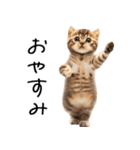 態度がでかい猫【可愛い・シュール】（個別スタンプ：26）