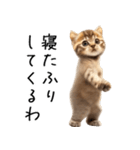 態度がでかい猫【可愛い・シュール】（個別スタンプ：28）