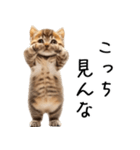 態度がでかい猫【可愛い・シュール】（個別スタンプ：30）