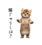 態度がでかい猫【可愛い・シュール】（個別スタンプ：31）