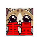 ダイエット我慢熟語 猫編（個別スタンプ：5）
