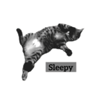 猫様スタンプ〜黒猫様とキジ猫様〜（個別スタンプ：4）