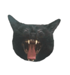 猫様スタンプ〜黒猫様とキジ猫様〜（個別スタンプ：8）