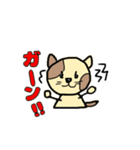 ねこのカールとお兄さんたち（個別スタンプ：11）