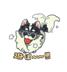 うちのフワフワチワワ 1（個別スタンプ：26）
