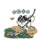 うちのフワフワチワワ 1（個別スタンプ：28）