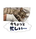 【新宿109】KENZO ver1（個別スタンプ：14）