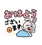 しろいわんこ♡人気♡犬大集合☆（個別スタンプ：2）