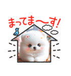 しろいわんこ♡人気♡犬大集合☆（個別スタンプ：17）