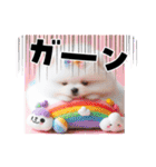 しろいわんこ♡人気♡犬大集合☆（個別スタンプ：27）