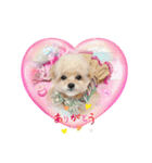 タレ目のテディさん♡4（個別スタンプ：1）