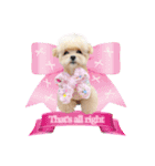 タレ目のテディさん♡4（個別スタンプ：7）