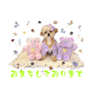 タレ目のテディさん♡4（個別スタンプ：10）
