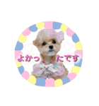 タレ目のテディさん♡4（個別スタンプ：14）