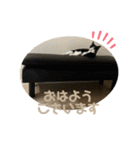 セナ、モナ、ポンズ、ウニ、ビビ、トム（個別スタンプ：12）