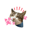 セナ、モナ、ポンズ、ウニ、ビビ、トム（個別スタンプ：21）