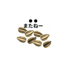 プランツラブ（個別スタンプ：21）