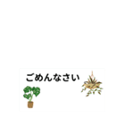 プランツラブ（個別スタンプ：24）
