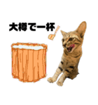 お酒とネコ好きな日常会話16（個別スタンプ：4）