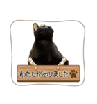 お酒とネコ好きな日常会話16（個別スタンプ：33）