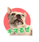 むぎじんた（個別スタンプ：5）