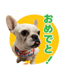 むぎじんた（個別スタンプ：8）