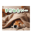 毎日使えるかわいい柴犬【連絡・家族】（個別スタンプ：18）