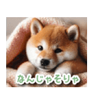 毎日使えるかわいい柴犬【連絡・家族】（個別スタンプ：27）