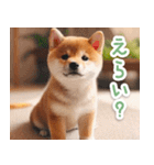 毎日使えるかわいい柴犬【連絡・家族】（個別スタンプ：29）