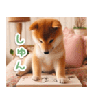 毎日使えるかわいい柴犬【連絡・家族】（個別スタンプ：31）