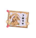 ペニ子☆スタンプ1012（個別スタンプ：4）