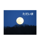 つき氏（個別スタンプ：3）
